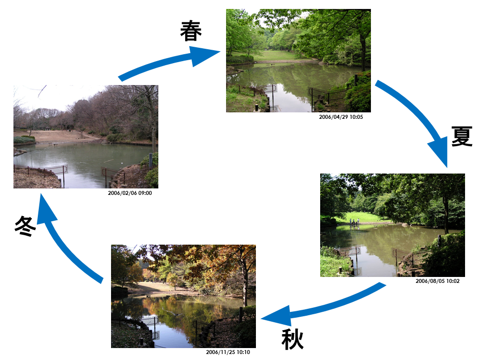 自然の律動・放調と環境デザイン | 建築討論WEB