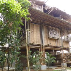 バンブー・アーキテクチャー——竹建築の未来