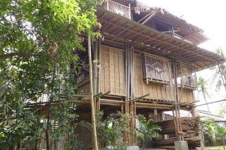 バンブー・アーキテクチャー——竹建築の未来